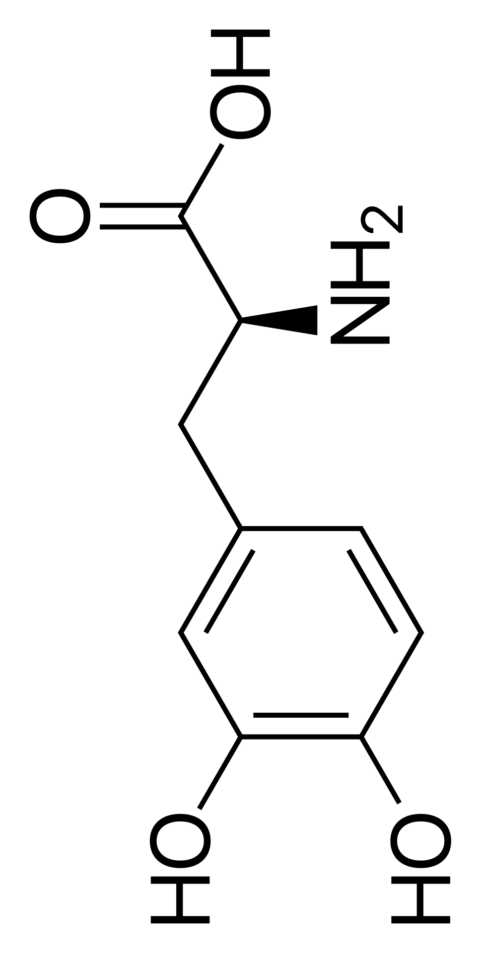 Read more about the article Everything you need to know about Levodopa, and some Little-known facts